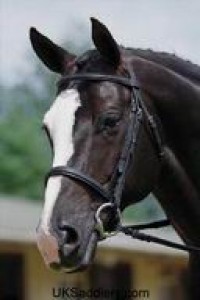 Obrazek