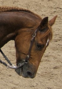 Obrazek
